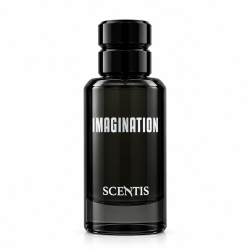 IMAGINATION